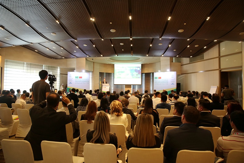 1495010480421969.jpg C52A3533.JPG